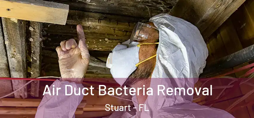  Air Duct Bacteria Removal Stuart - FL