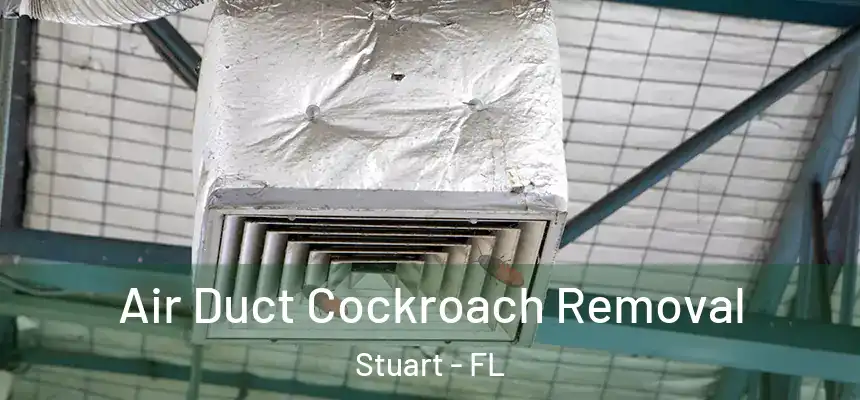  Air Duct Cockroach Removal Stuart - FL