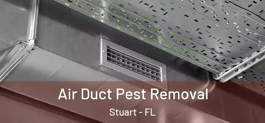 Air Duct Pest Removal Stuart - FL