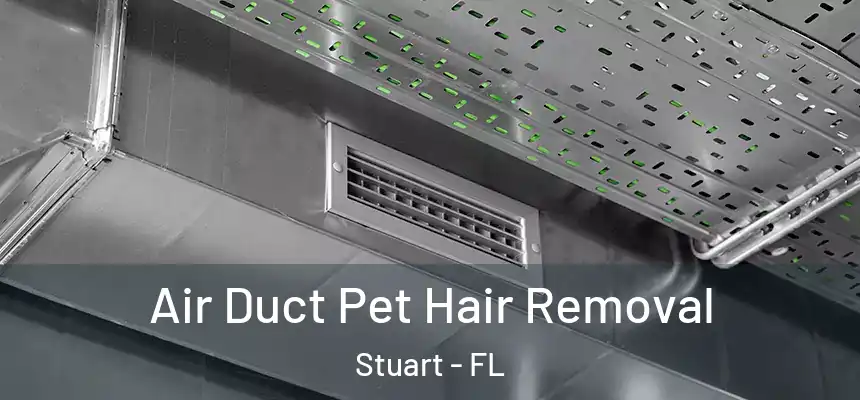 Air Duct Pet Hair Removal Stuart - FL