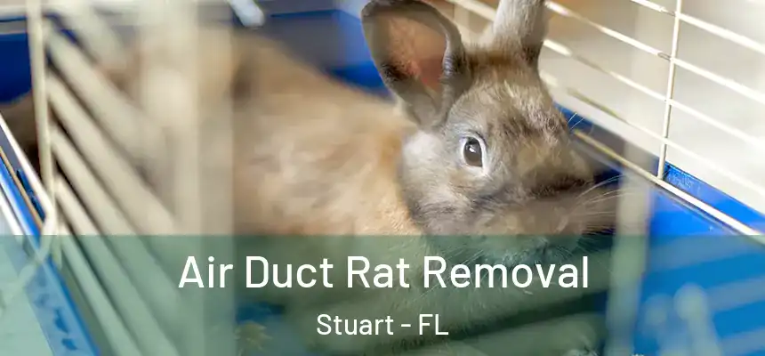  Air Duct Rat Removal Stuart - FL