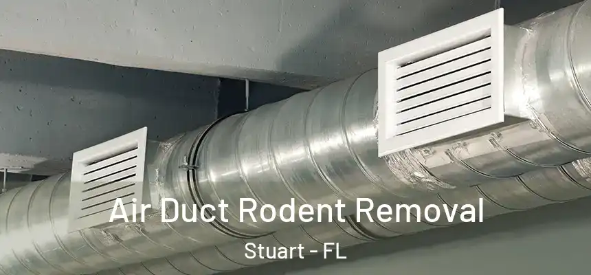  Air Duct Rodent Removal Stuart - FL