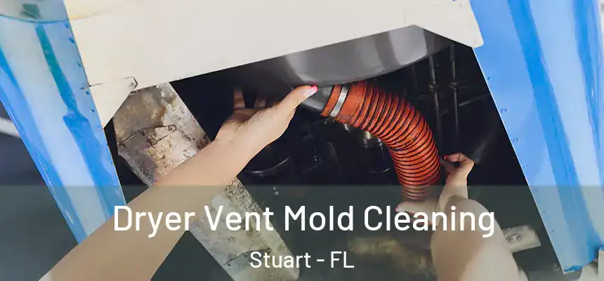  Dryer Vent Mold Cleaning Stuart - FL