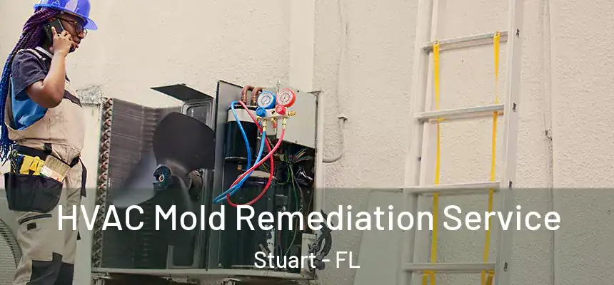  HVAC Mold Remediation Service Stuart - FL