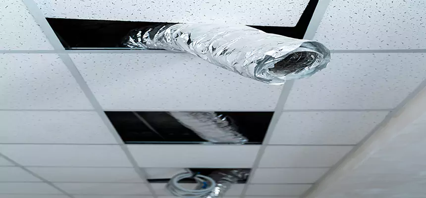 Affordable HVAC Sanitizing After Pest Removal in Stuart