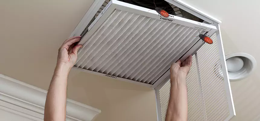Our Insect Removal from Air Ducts Services in Stuart, FL