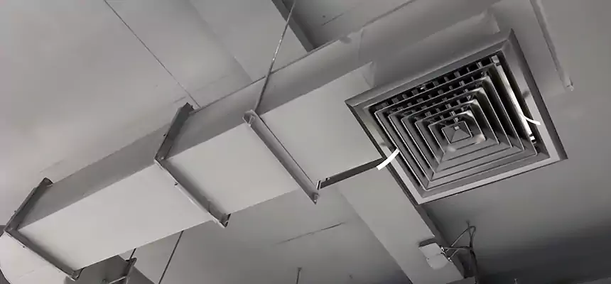 Our Pest Removal From Ducts Services in Stuart, FL