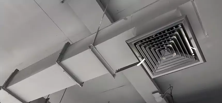 Our Rodent Droppings In Vents Services in Stuart, FL