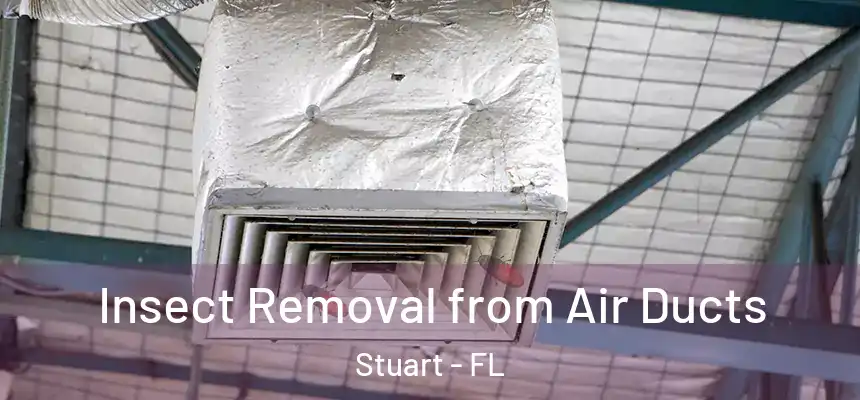  Insect Removal from Air Ducts Stuart - FL