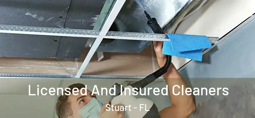 Licensed And Insured Cleaners Stuart - FL