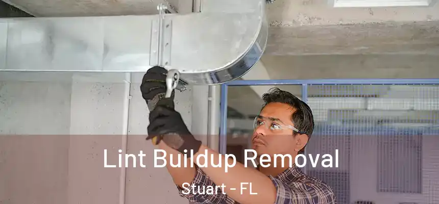 Lint Buildup Removal Stuart - FL