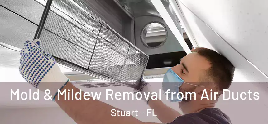 Mold & Mildew Removal from Air Ducts Stuart - FL