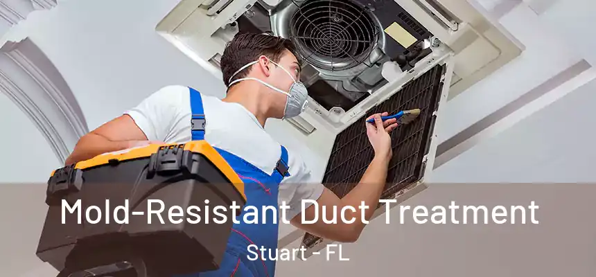  Mold-Resistant Duct Treatment Stuart - FL