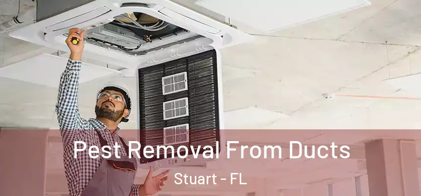 Pest Removal From Ducts Stuart - FL