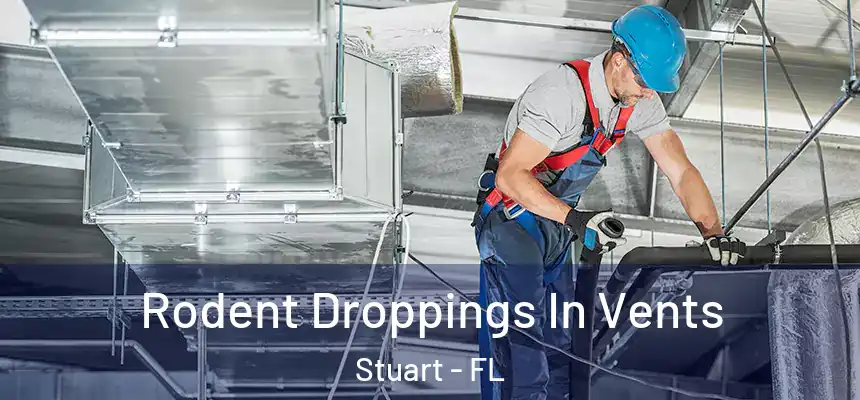 Rodent Droppings In Vents Stuart - FL