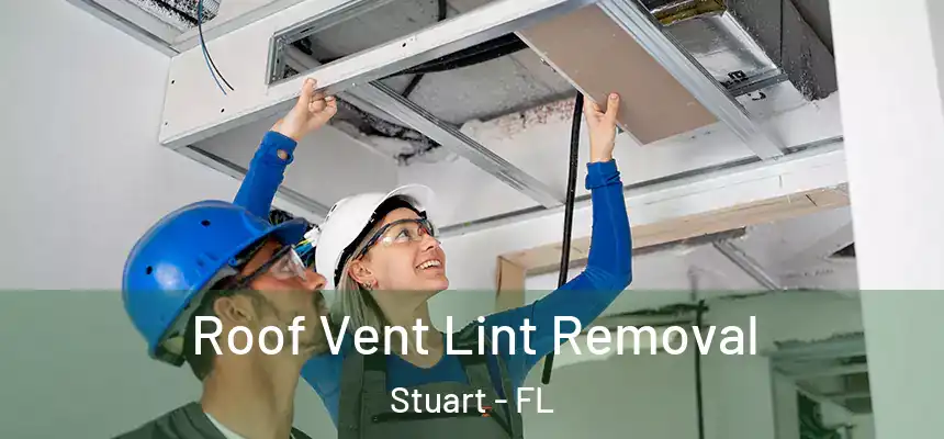 Roof Vent Lint Removal Stuart - FL
