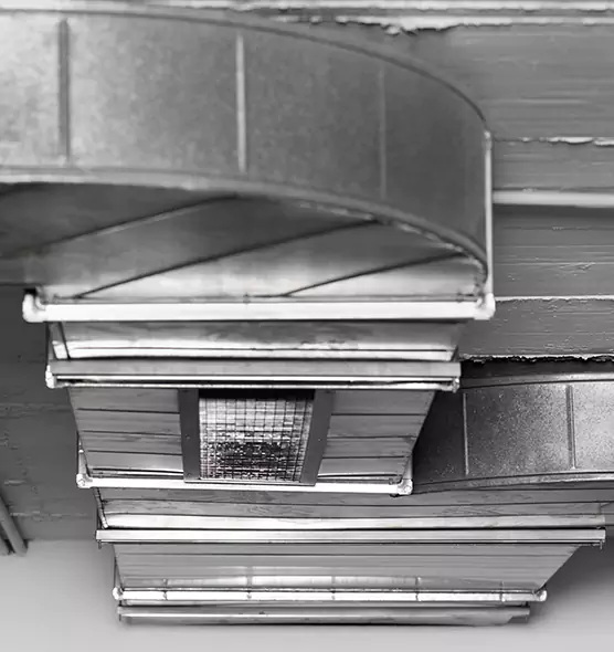 Professional Air Duct Pest Removal in Stuart, FL