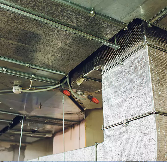 Why Homeowners & Businesses Trust Us in Stuart, FL?