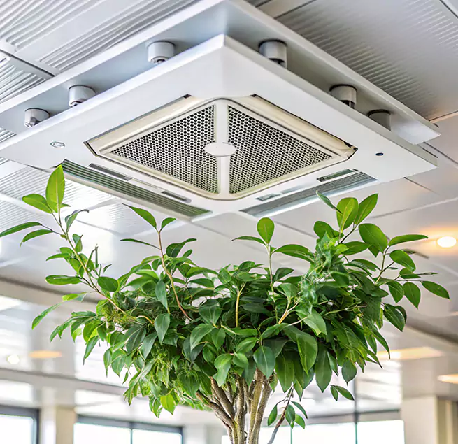 Why Homeowners & Businesses Trust Us in Stuart, FL?