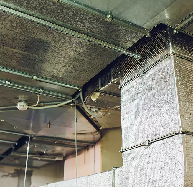 Why Homeowners & Businesses Trust Us in Stuart, FL?